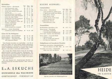 Die Gärtnerei Eskuche wurde zum Fachbetrieb für Heide – und Moorbeetpflanzen. Flyer aus den 1960er Jahren.\\n\\n04.11.2016 08:51